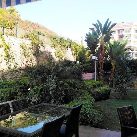 Your In Alanya *