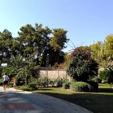 Your In Alanya *